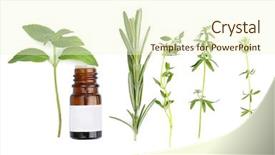  Presentation with herb - Beautiful theme featuring dropper bottle and herbs isolated backdrop and a cream colored foreground