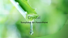  Presentation with aloe vera - Presentation design consisting of dropping-aloe-vera-liquid background and a seafoam green colored foreground