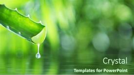  Presentation with aloe vera - Audience pleasing PPT layouts consisting of dropping-aloe-vera-liquid backdrop and a forest green colored foreground