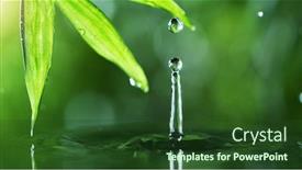  Presentation with water leaf - Cool new theme with dropping-water-with-palm-leaf backdrop and a tawny brown colored foreground