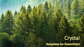  Presentation with storm - Colorful theme enhanced with drops falling and lush tree backdrop and a tawny brown colored foreground