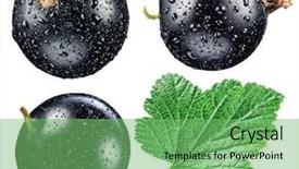  Presentation with currant - Beautiful presentation theme featuring drops file contains clipping path backdrop and a seafoam green colored foreground