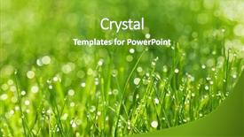  Presentation with dew - Slide deck consisting of drops of dew background and a tawny brown colored foreground