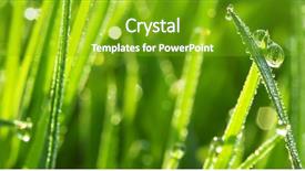  Presentation with water drop green planet - Slide deck featuring drops of dew background and a shamrock green colored foreground