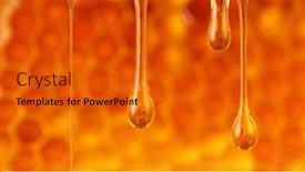  Presentation with honeycomb - Cool new slides with drops-of-fresh-honey-flow backdrop and a gold colored foreground