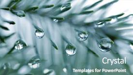  Presentation with needles - Cool new slides with drops of rain backdrop and a seafoam green colored foreground