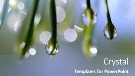  Presentation with needles - PPT theme featuring drops-of-rain background and a seafoam green colored foreground