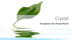  Presentation with water plant - 