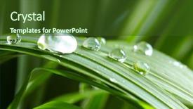  Presentation with water drop green planet - Slides enhanced with drops on the green grass background and a tawny brown colored foreground