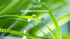  Presentation with water drop green planet - Colorful slide deck enhanced with drops on the green grass backdrop and a tawny brown colored foreground