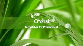  Presentation with water drops - Slides having drops on the green grass background and a tawny brown colored foreground