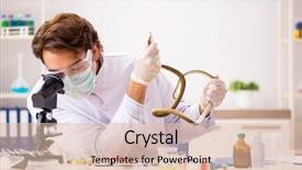  Presentation with drug poison - Audience pleasing PPT layouts consisting of drugs - male scientist extracting poison backdrop and a lemonade colored foreground