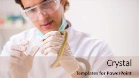  Presentation with drug poison - PPT layouts enhanced with drugs - male scientist extracting poison background and a soft green colored foreground