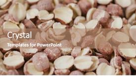  Presentation with lotus - Cool new PPT theme with drugs brain - dried lotus seed backdrop and a coral colored foreground