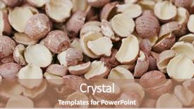  Presentation with seed - PPT theme consisting of drugs brain - dried lotus seed background and a coral colored foreground