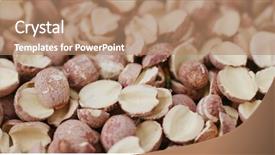  Presentation with seed - Slides having drugs brain - dried lotus seed background and a coral colored foreground