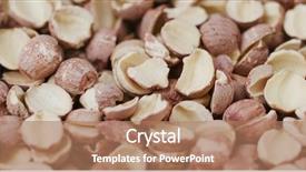  Presentation with soybean seed soy field seeding - Amazing PPT theme having drugs brain - dried lotus seed backdrop and a coral colored foreground