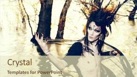  Presentation with fantasy - Presentation design consisting of druid - man-tree in a wild wood background and a soft green colored foreground