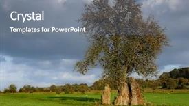  Presentation with ancient - Colorful PPT theme enhanced with druid - solitary tree and three ancient backdrop and a gray colored foreground