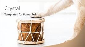  Presentation with drum - Slide set enhanced with drum-with-dog-paws background and a sky blue colored foreground
