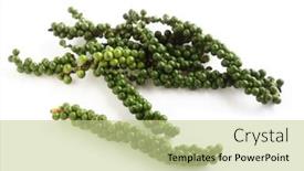  Presentation with green shadow - Audience pleasing slides consisting of piper nigrum - drupe of green peppercorns backdrop and a mint green colored foreground