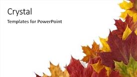  Presentation with multicolored autumn leaves orange yellow red - Theme featuring dry autumnal leaves corner background and a white colored foreground