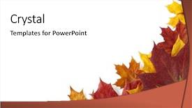  Presentation with corner - Amazing theme having dry autumnal leaves corner backdrop and a white colored foreground