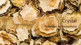  Presentation with bitter melon - PPT theme enhanced with dry bitter melon background and a yellow colored foreground