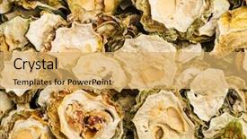  Presentation with bitter melon - Cool new slide set with dry bitter melon backdrop and a yellow colored foreground