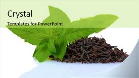  Presentation with black tea - Amazing slides having dry black tea leaves backdrop and a yellow colored foreground