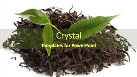  Presentation with black tea - Slide set enhanced with dry-black-tea-with-green background and a tawny brown colored foreground