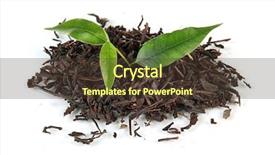  Presentation with black tea - Colorful PPT theme enhanced with tea with green leaves isolated backdrop and a tawny brown colored foreground