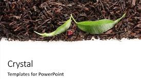  Presentation with black tea - Beautiful PPT layouts featuring puasa - variety of delicious and colorful backdrop and a gray colored foreground