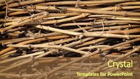  Presentation with grape vine - Amazing slide set having dry branches of grape backdrop and a tawny brown colored foreground