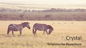  Presentation with dry - Slide set featuring dry brown savannah grassland background and a coral colored foreground