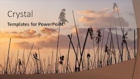  Presentation with cane - PPT layouts consisting of dry-cane-at-sunset-nature background and a lemonade colored foreground