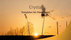  Presentation with cane - Theme consisting of dry-cane-at-sunset-nature background and a coral colored foreground