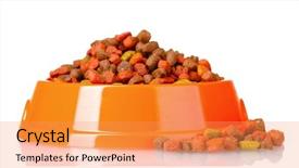  Presentation with food white - Cool new presentation theme with dry cat food in bowl backdrop and a yellow colored foreground