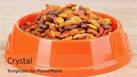  Presentation with dry - Amazing presentation theme having dry cat food in bowl backdrop and a coral colored foreground