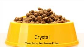  Presentation with drying food - Audience pleasing PPT layouts consisting of dry cat food in yellow backdrop and a yellow colored foreground