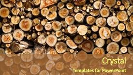  Presentation with wood log - Colorful presentation design enhanced with dry chopped firewood log backdrop and a red colored foreground