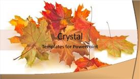  Presentation with autumn leaves - Amazing slides having dry colorful autumn leaves backdrop and a gold colored foreground
