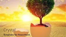  Presentation with heart shape tree - Colorful PPT layouts enhanced with dry-country-with-cracked-soil backdrop and a yellow colored foreground
