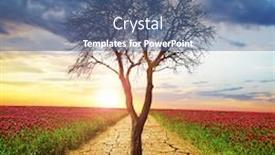  Presentation with middle earth - Presentation design consisting of dry-cracked-earth-and-dead background and a ocean colored foreground