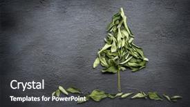  Presentation with curry leaves - Amazing PPT theme having dry curry leaves over dark backdrop and a dark gray colored foreground