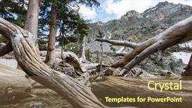 Presentation with dry forest - Amazing slide set having dry dead trees in forest backdrop and a tawny brown colored foreground