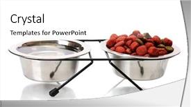  Presentation with dog food - Amazing slides having dry dog food and water backdrop and a white colored foreground