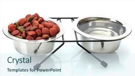  Presentation with dog food - PPT theme having dry dog food and water in metal bowls isolated on white background and a sky blue colored foreground