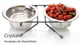  Presentation with dog food - Presentation theme enhanced with dry dog food and water in metal bowls isolated on white background and a white colored foreground