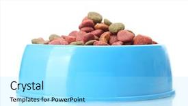  Presentation with blue food - Presentation having dry dog food in blue background and a arctic colored foreground